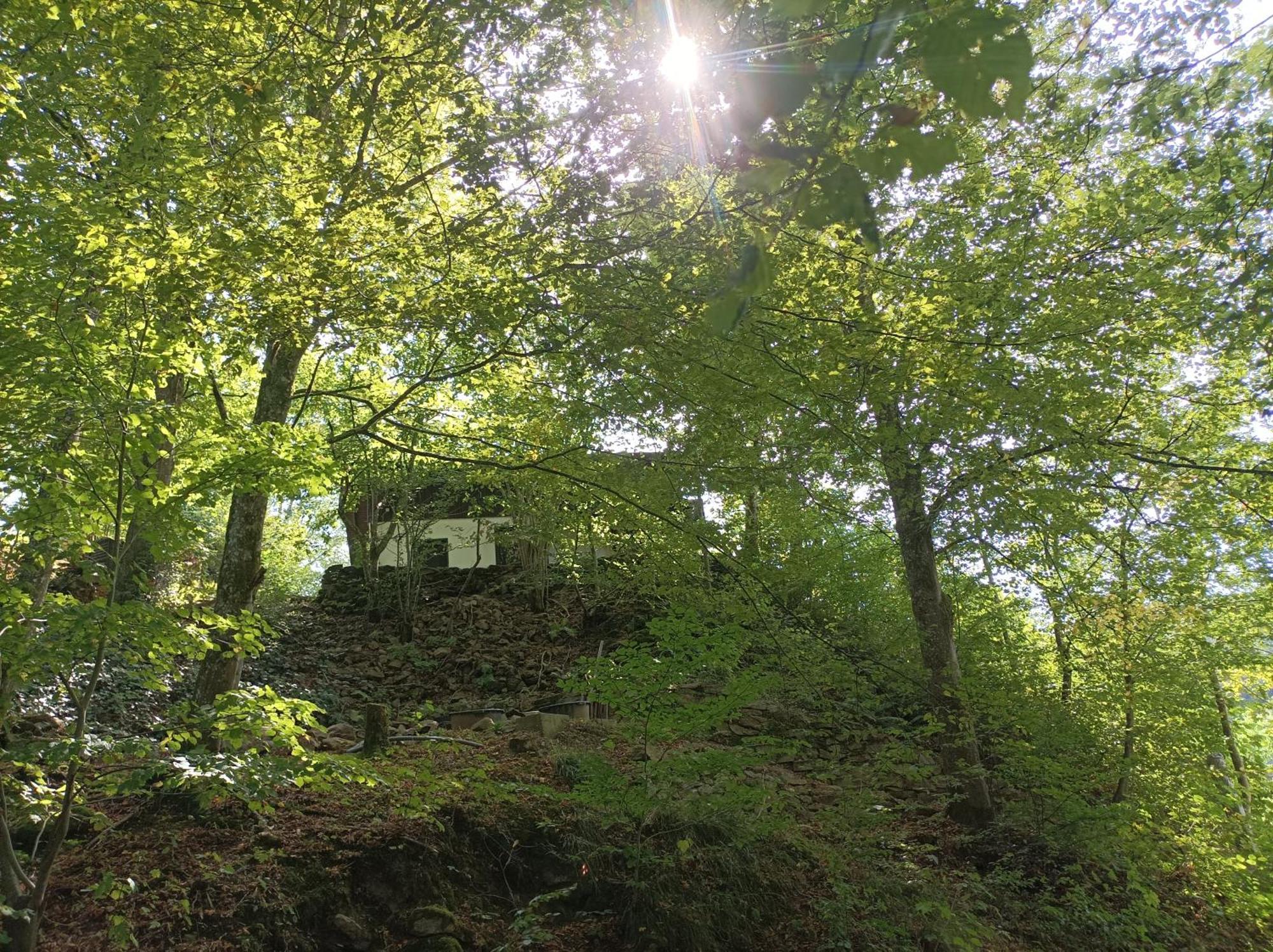 Burgberg Schoellnstein Iggensbach Exterior photo